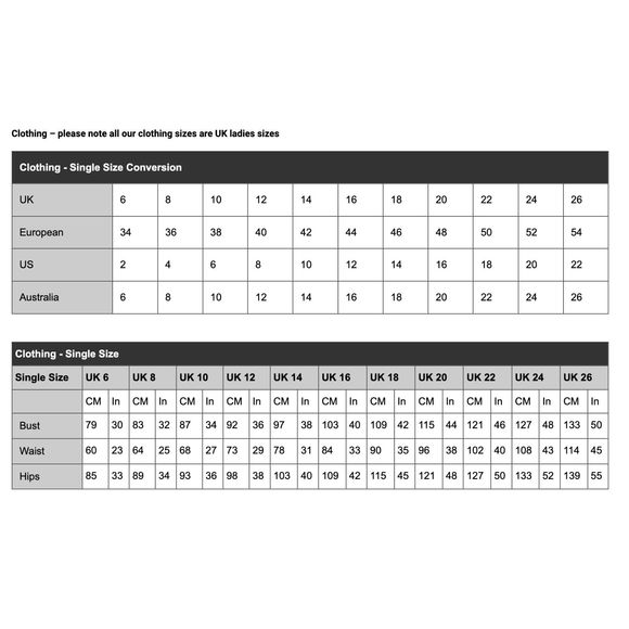 NWT Axara Paris Pleated Nude Dress Sheer Panels Size 10 a997 - Picture 11 of 11